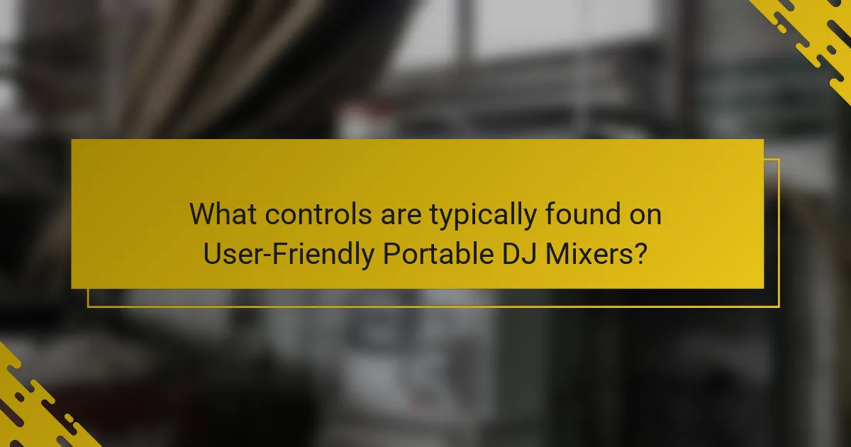 What controls are typically found on User-Friendly Portable DJ Mixers?